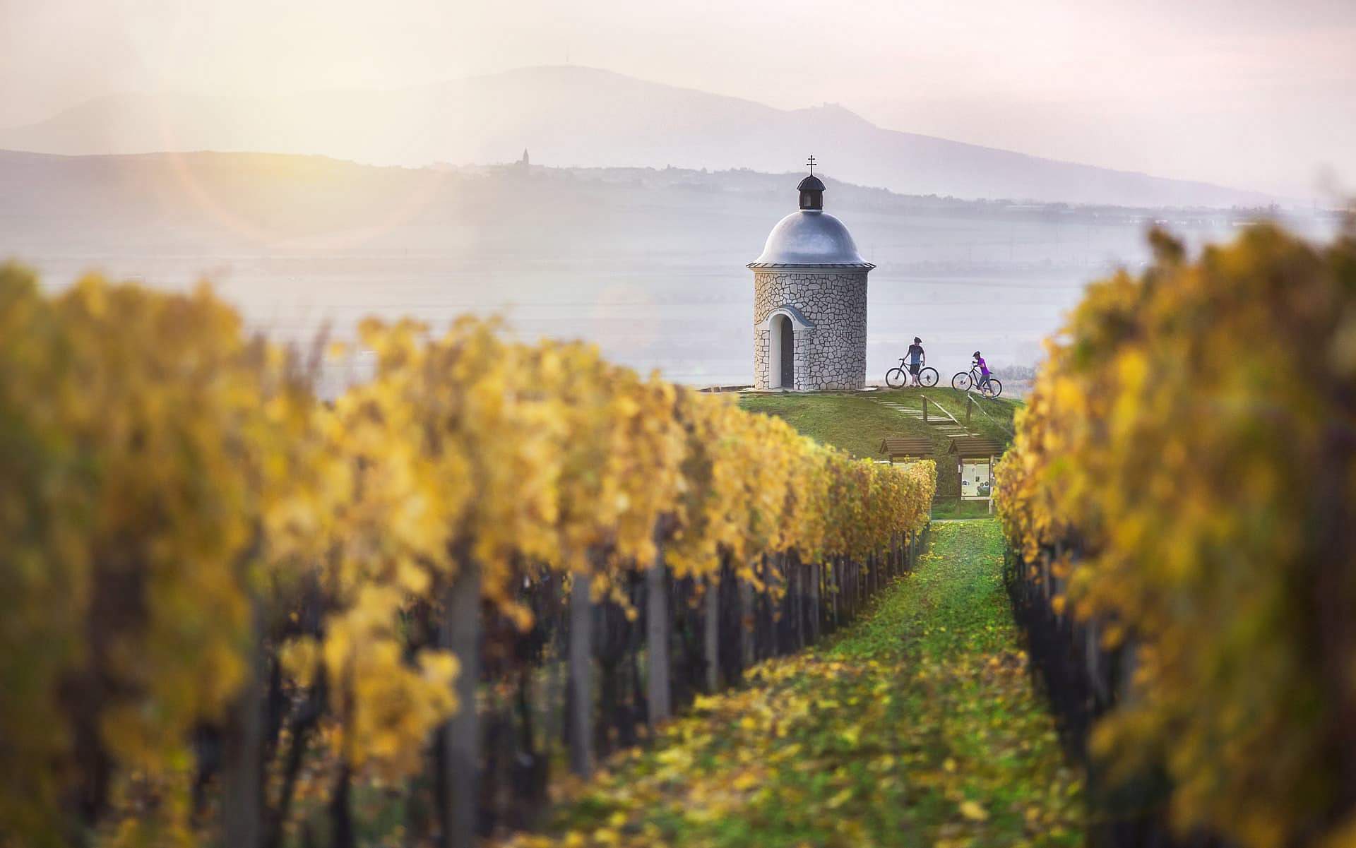 Pořídíte si své srdcové eso?