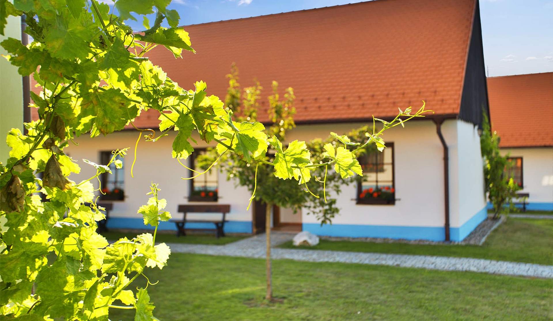 Pořídíte si své srdcové eso?