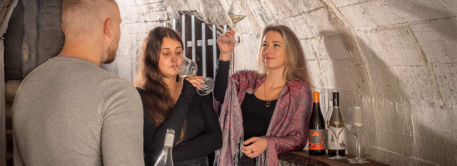 Degustace vín spojená s prohlídkou vinařství