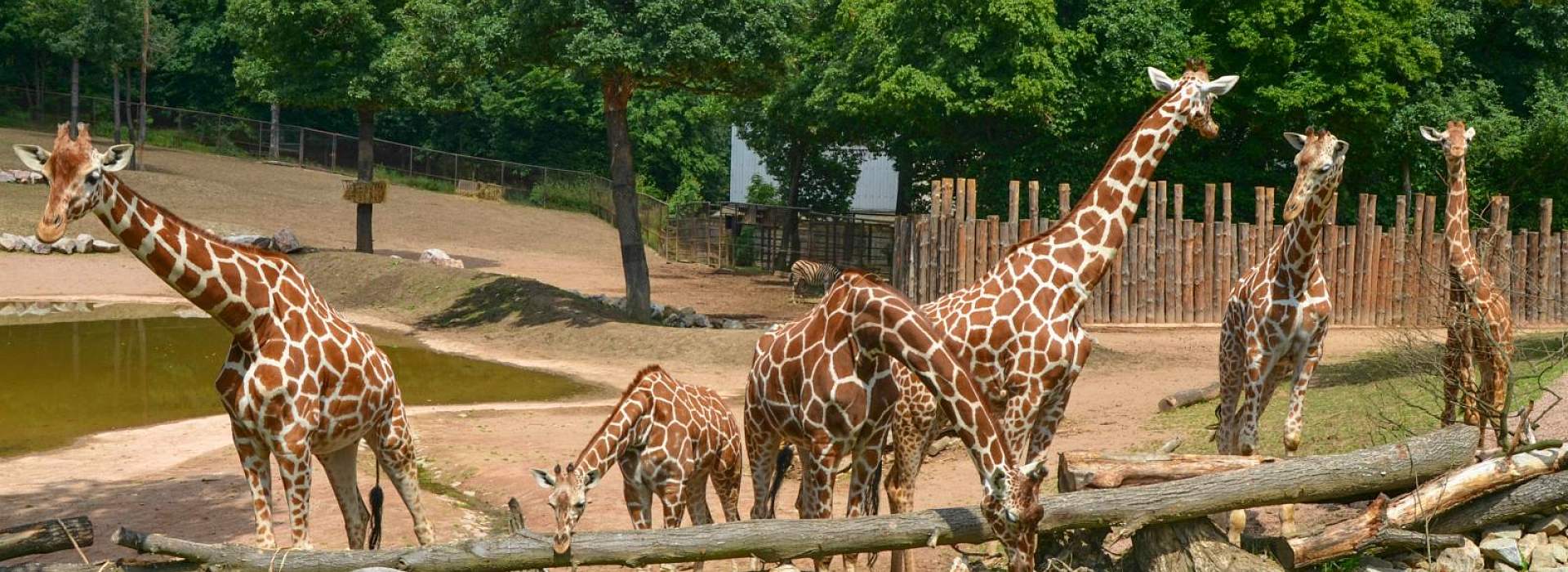 Zoo Brno