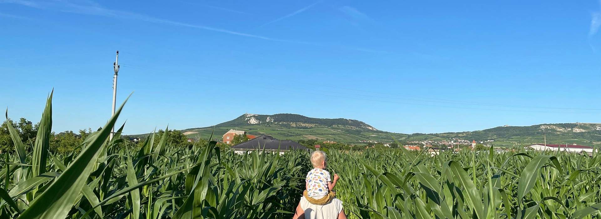 Kukuřičné bludiště Dolní Dunajovice