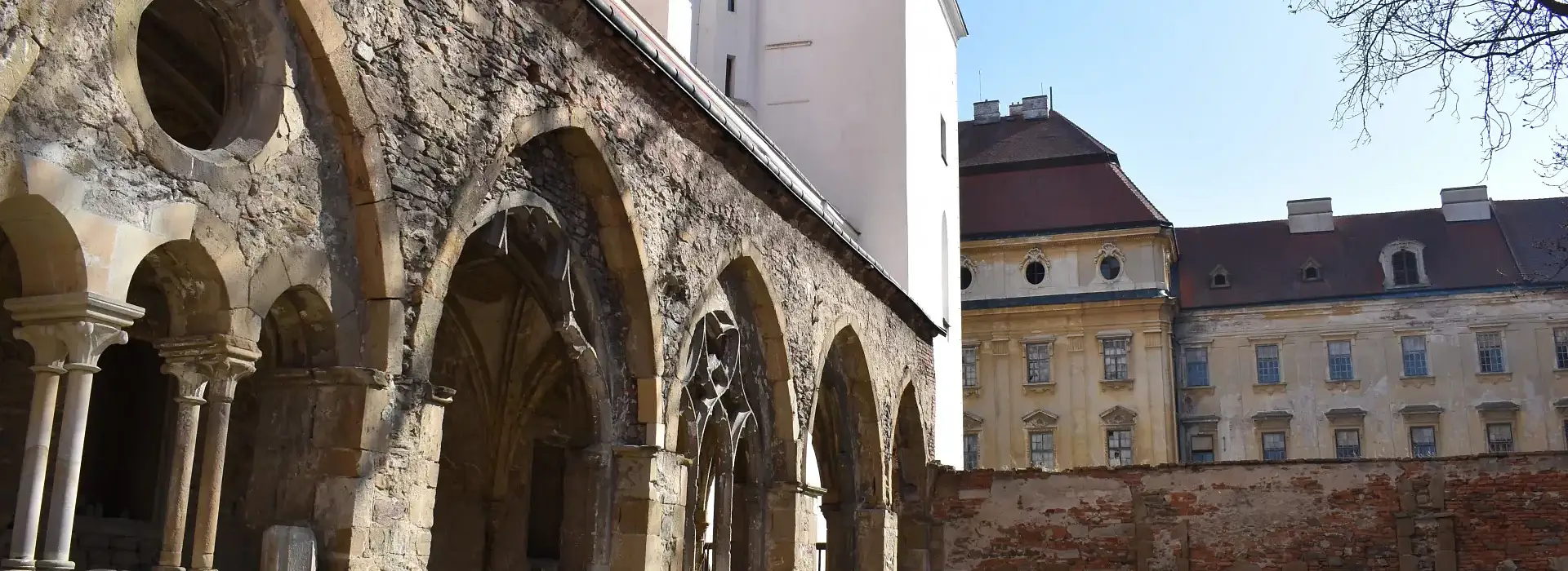 Kostel Nanebevzetí Panny Marie a sv. Václava v Louce