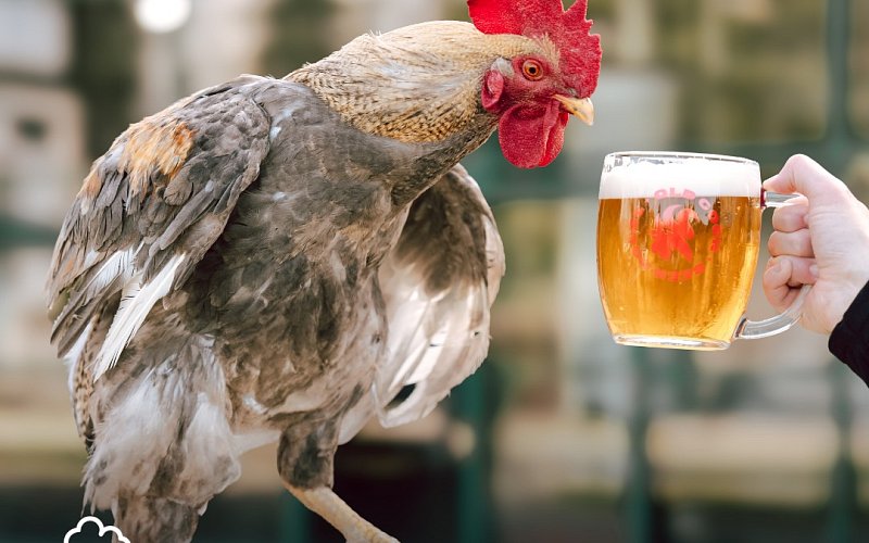 To nejlepší z jižní Moravy na talíři