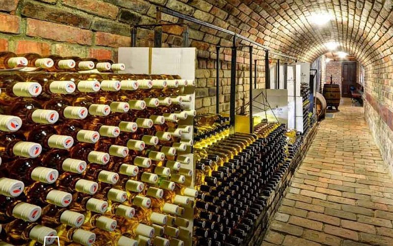 To nejlepší z jižní Moravy na talíři