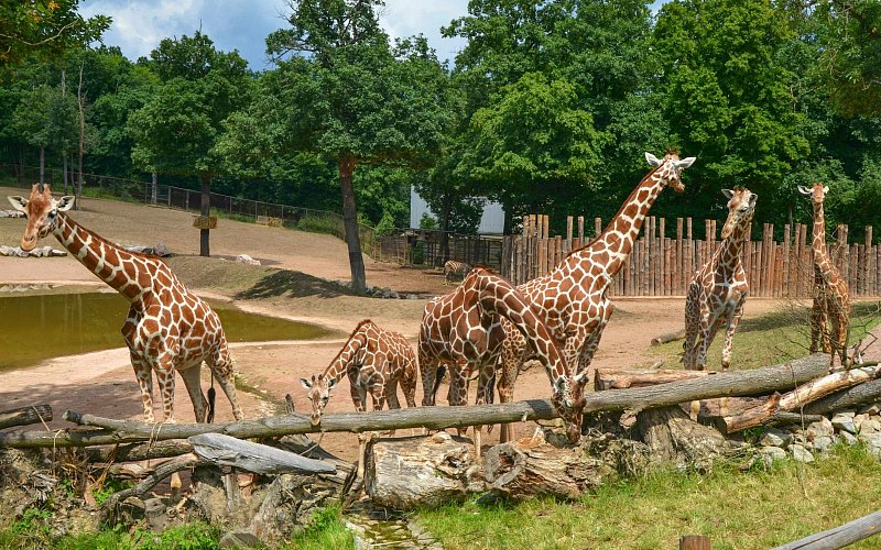 Zoo Brno