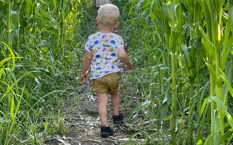 Kukuřičné bludiště Dolní Dunajovice