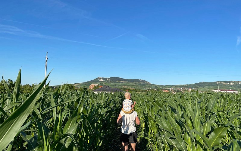 Kukuřičné bludiště Dolní Dunajovice