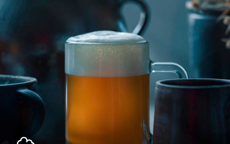 To nejlepší z jižní Moravy na talíři