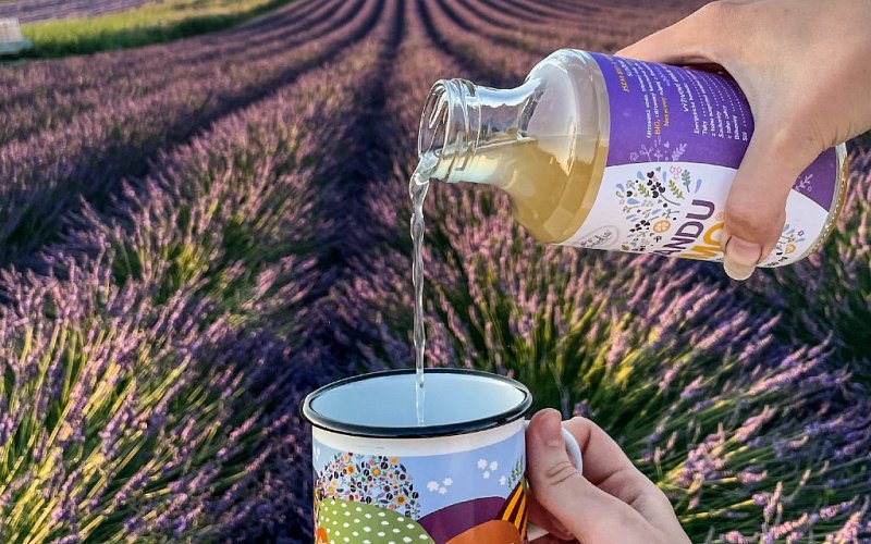Levandulová farma Starovičky