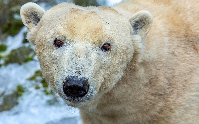 Zoo Brno