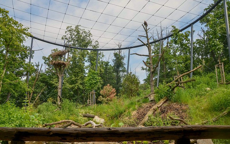 Zoo Brno