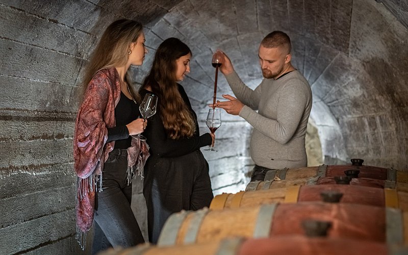 Degustace vín spojená s prohlídkou vinařství