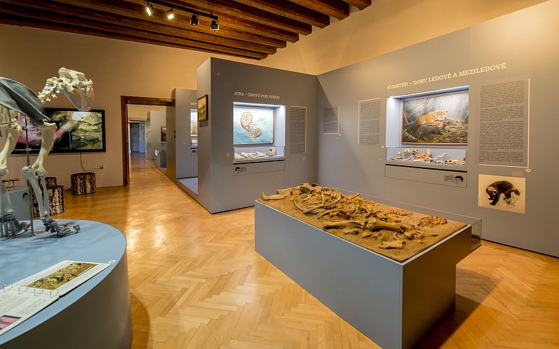 Muzeum Blanenska