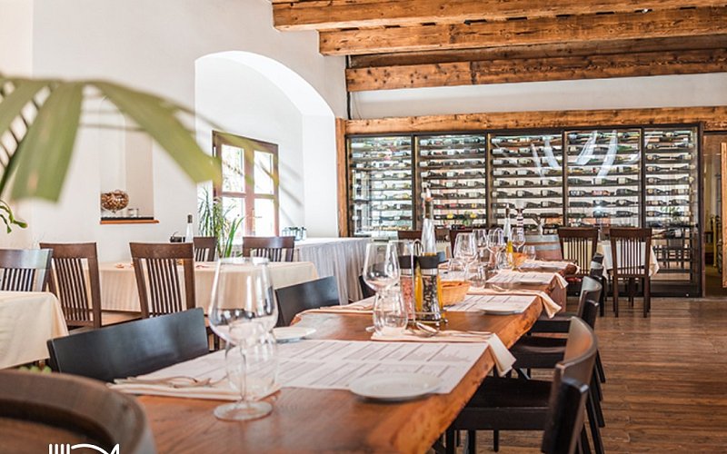 To nejlepší z jižní Moravy na talíři