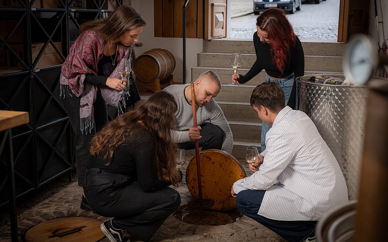 Degustace vín spojená s prohlídkou vinařství
