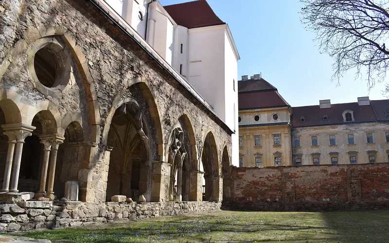 Kostel Nanebevzetí Panny Marie a sv. Václava v Louce