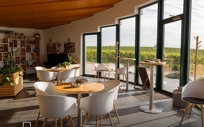 To nejlepší z jižní Moravy na talíři